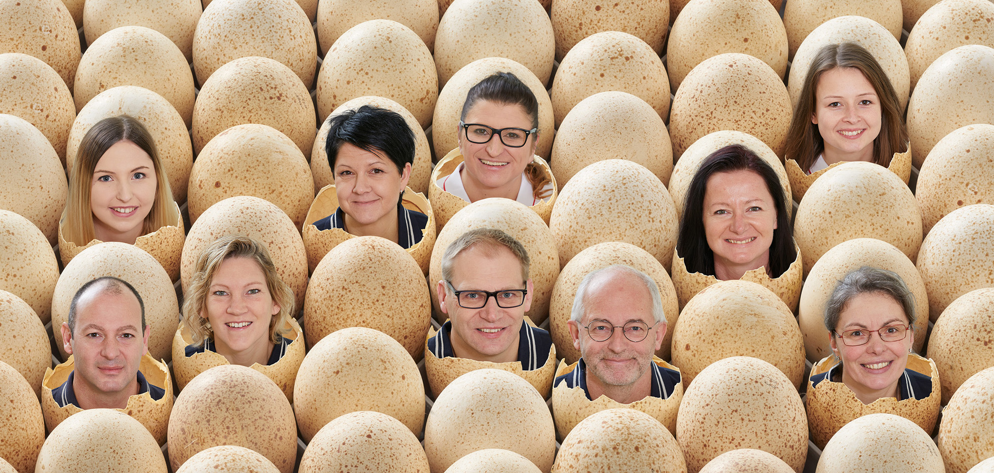 Team Büro und Geschäftsleitung von Miko