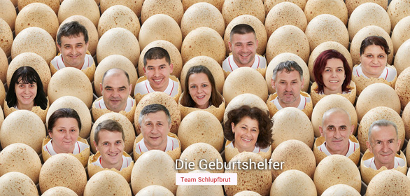 Team Schlupfbrut von Miko